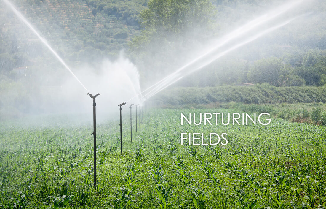 Nuturing Fields